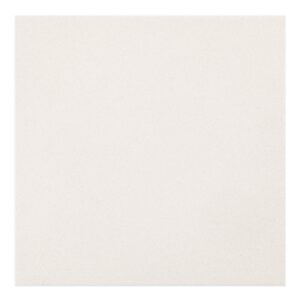 13.5mm 12x12 Antiasit Cream Porcelain Matte Tile