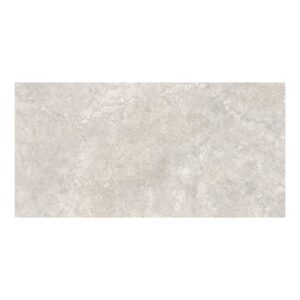 24x48 Coast Midong Porcelain Matte Tile