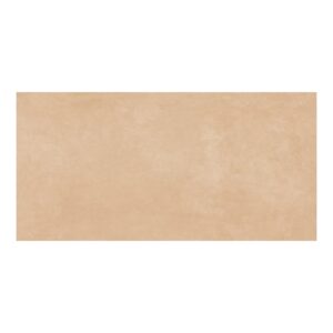 24x48 Color Poudre Matte Porcelain Tile (8mm)