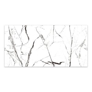 24x48 Cosmic White Polished Porcelain Tile