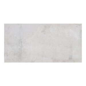 24x48 Ash Paver Porcelain Tile (20 mm)