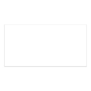 24x48 Pure White Matte Porcelain Tile (32 CT/PA)